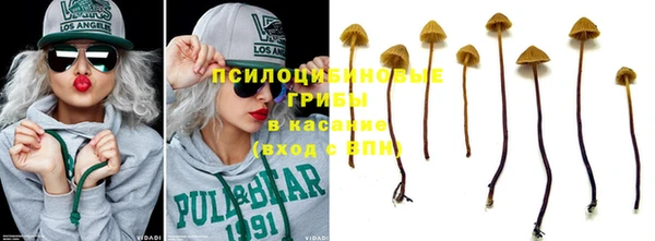 СК Абинск