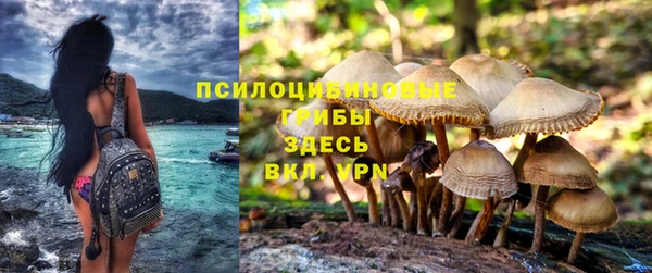 мдма Краснослободск