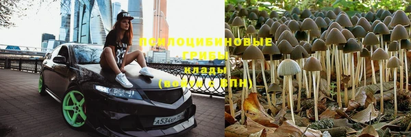 СК Абинск