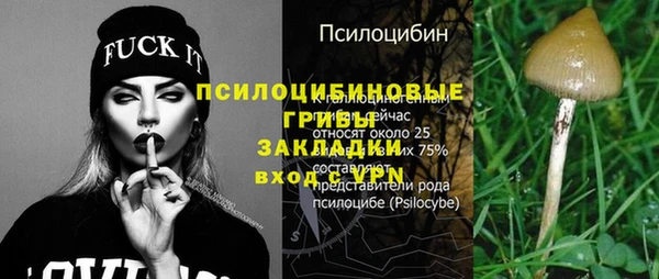 СК Абинск